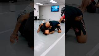 Side Control Submissions jiujitsu grappling bjj mma ufc jujutsukaisen combatsport martialart [upl. by Spector796]