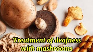 Treatment of deafness with mashrooms Sasta or herbal treatmentJust Herbal [upl. by Airamzul]