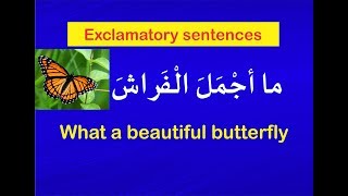 Exclamatory sentences [upl. by Noemad]