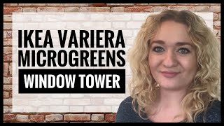 Ikea variera microgreens tower for growing on the the windowsill  micro greens ikea hack [upl. by Nemzzaj]