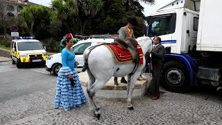 DAMAS GOYESCA y los CABALLOS ANDALUCES [upl. by Anaiq]