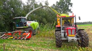 Corn silage in Stepelo [upl. by Liagabba971]