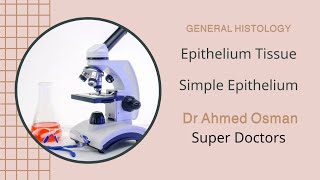 Simple Epithelium Epithelial Tissue Histology [upl. by Kermit41]