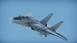 The IRIAF F14 Tomcat  Part 2   The Suffering [upl. by Reena]