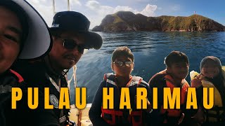 Menjejak Pulau Harimau VLOG [upl. by Canter266]