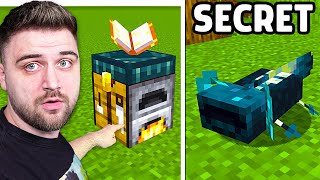 1000 SECRETE pe Minecraft [upl. by Dranyam790]