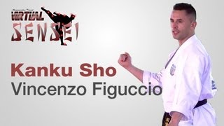 Vincenzo Figuccio teaching kata Kanku Sho  Karate amp Relax June 2013 [upl. by Victoir]