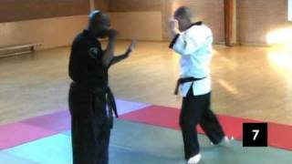 Browne Budo Ryu Kempo Jujitsu Demo [upl. by Airod753]