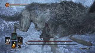 DS3 Parry Boss 09 Champions Gravetender and Gravetender Wolf [upl. by Annahaj]