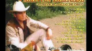 Toquenme las Golondrinas  Valentin Elizalde [upl. by Dene]