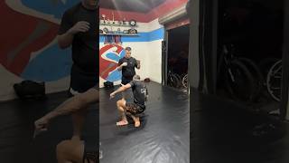 Imanari Roll bjj shorts trending nogi shortvideo short shortsfeed viralvideo jiujitsu jiu [upl. by Nishi]