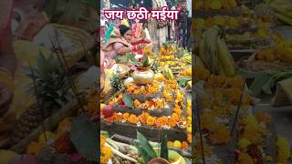 छठ पूजा Chhath puja Status 💫💖Kelwa ke paat par chhath puja song chhath chhathpujaviral [upl. by Iramohs84]