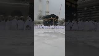 Beautiful namaz in Makkah during rain 🤩🤩 saudiarabia makkah prayer youtubeshorts shortvideo [upl. by Grete]