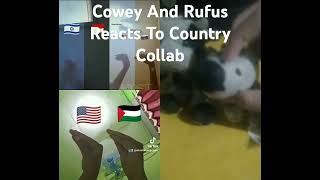 COWEY And Rufus Reacts To Country Collab memes funny duet redditrecap [upl. by Veator]