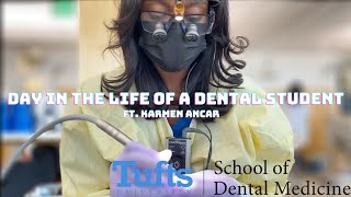 Day In The Life Of A Dental Student at Tufts University School Of Dental Medicine [upl. by Gayleen]