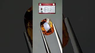 Mali garnet losstone 388carat cakep👍batupermata gemstone maligarnet shortvideo viralvideo [upl. by Naujaj760]