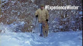 Tip for Snowshoeing With Dogs [upl. by Gay]