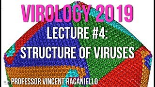 Virology Lectures 2019 4 Structure of Viruses [upl. by Krasnoff669]