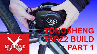 Unveiling The Ultimate Tongsheng Tsdz2 Mid Drive Ebike Motor Bike Build [upl. by Cyrille628]