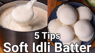 How to Make Soft Idli with 5 Basic Tips  Spongy Idli Batter with Wet Grinder  No Soda No Yeast [upl. by Aixela]