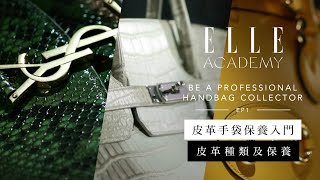 皮革手袋保養入門課程：皮革種類及保養的重要性  Ep1  ELLE Academy [upl. by Gordan]