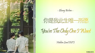 HanziPinyinEnglishIndo Zhang Bichen  你是我此生唯一所愿 Youre The Only One I Want Hidden Love OST [upl. by Ahsimek723]