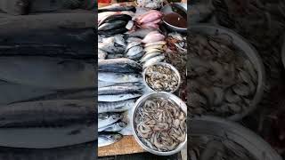 Fish market vadodara gujarat 2024 fish food fish [upl. by Willin]