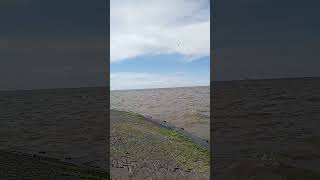 Río de la plata Ahorafishinganimalriverpescacasting [upl. by Kyle377]