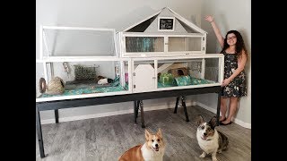 46 SQFT GIANT DIY Guinea Pig Cage Tour [upl. by Calabrese]