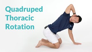 Quadruped Thoracic Rotation for Spine Mobility [upl. by Ecineg]