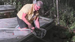 See what we can find while Dip Netting at Brooker Creek Preserve in Tarpon Springs [upl. by Huei501]