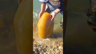 Este chico encontró una piedra increíble en el mar 👏 [upl. by Vel]