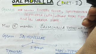 Salmonella  Part 1   Microbiology  Handwritten notes [upl. by Dloreh]