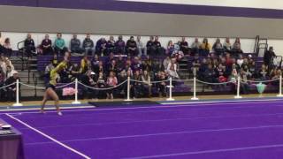 UWEC Gymnastics Highlights v UWW 12817 [upl. by Rez]