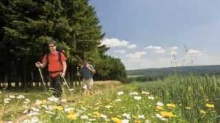 Travel Guide Rhineland Germany  Romantic Germany RhinelandPalatinate [upl. by Pasco]