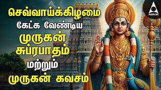 TUESDAY Murugan Suprabatham amp Murugan Kavasam  SPL MURUGAN TAMIL DEVOTIONAL SONGS [upl. by Auqkinahs]