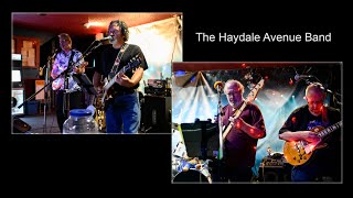 The Haydale Avenue Band Born on the Bayou live at A Step Up Lounge [upl. by Rehpotsihc]