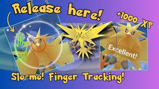 Catch Zapdos this week DONT let it flee Excellent Throw Guide for Pokemon Go [upl. by Stambaugh]