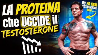 la PROTEINA che sta UCCIDENDO il Tuo TESTOSTERONE e la Tua LlBIDO SHBG [upl. by Cindie]