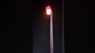 Fly lamp in Diwali 🎆🎆🎆🎇🎇🪔🪔funny comedy cute [upl. by Eidnam925]