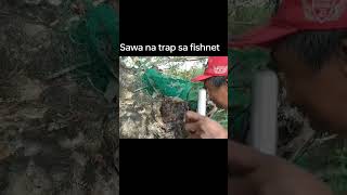 Sawa na trap sa fishnet snake philippinecobra reptiles [upl. by Isaac]