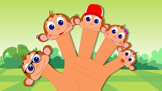 Monkey Finger Family  Rhymes For Kids [upl. by Neiv]