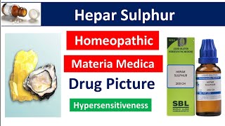 Hepar Sulphur Homeopathic Medicine  Drug Picture  Materia Medica bhms homoeopathy [upl. by Magan]