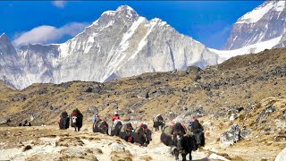 Mt Everest Overview 4K Helicopter Tour 8000 meter peaks Everest Cho Oyu Lhotse Makalu [upl. by Lleoj]