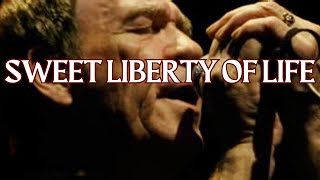 Sweet Liberty of Life Live from Vicar St Dublin 2017 │Finbar Furey [upl. by Snodgrass]