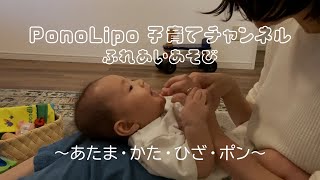 PonoLipo 子育てチャンネル＿ふれあい遊び５あたま・かた・ひざ・ポン [upl. by Comethuauc]