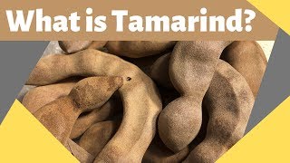 What is Tamarind Tamarindo [upl. by Ayikur]