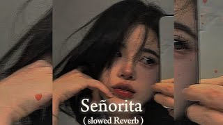 Señorita Camila Cabello  Shawn Mendes slowed Reverb fypシ゚ source [upl. by Ailaza]