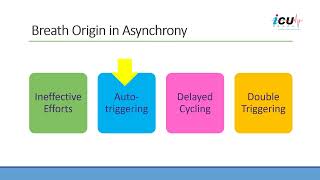 Breath Origin in Asynchrony on Mechanical Ventilation [upl. by Neural107]