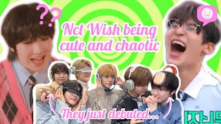 Nct Wish just debuted and theyre already super cute and chaotic [upl. by Adnovahs]